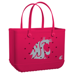 Original - Washington State Cougars Y2