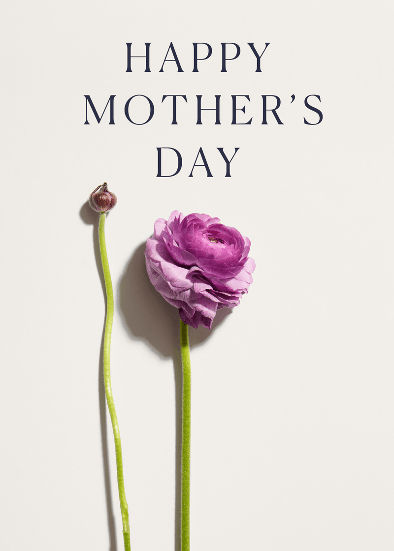 Bogg Mother's Day Greeting Card O2